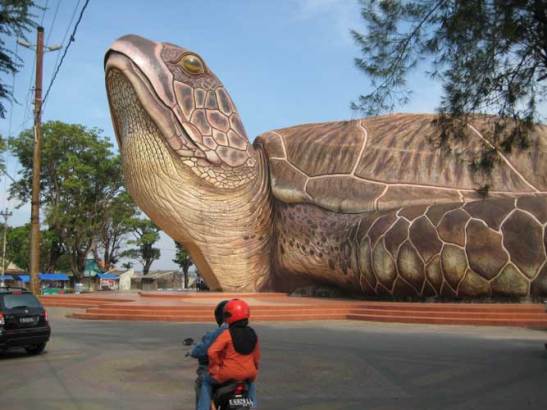 wisata kura-kura terbesar di pantai kartini jepara jawa tengah